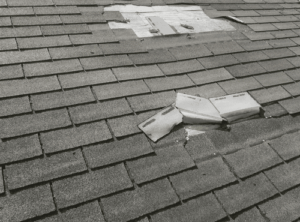 damaged shingles